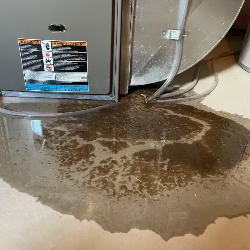 Appliance Leak Cleanup in Chickasaw, AL